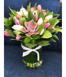 Tulips & Succulent - Vase