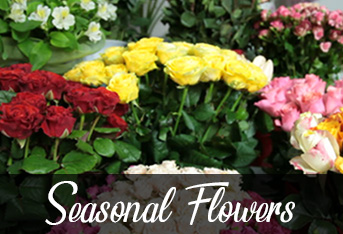 Season Flowers